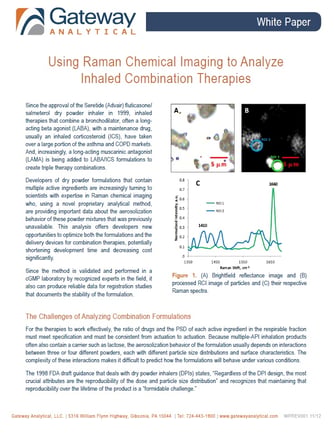 Using Raman Chemical Imaging to Analyze Inhaled Combination Therapies